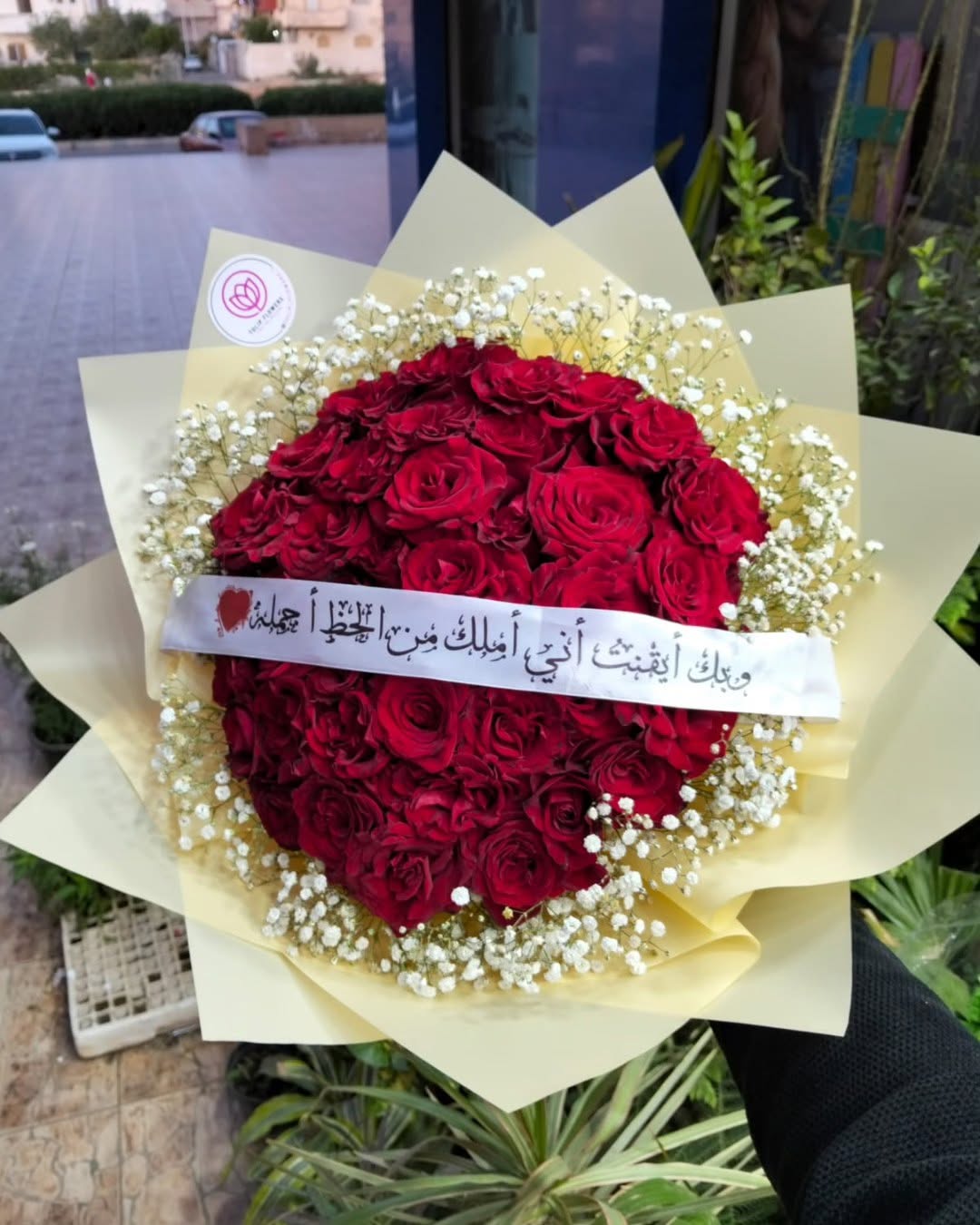 ريل توليب على إنستغرام